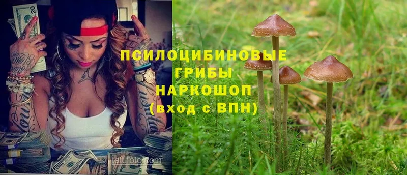 Галлюциногенные грибы Magic Shrooms  Карачев 